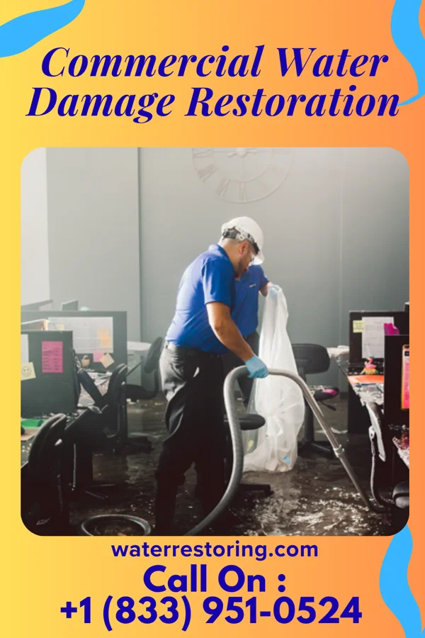Commercial Water Damage Restoration in Lytton, IA